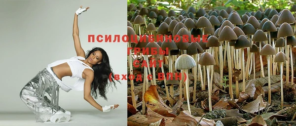 эйфоретик Верея