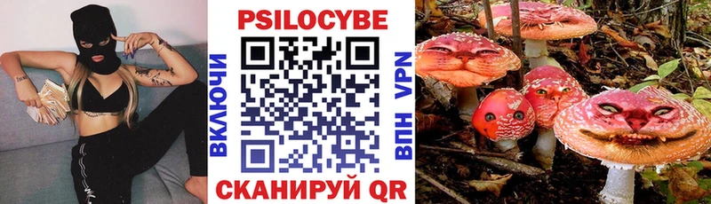 купить  цена  Кандалакша  Галлюциногенные грибы MAGIC MUSHROOMS 